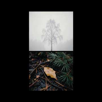 Обложка песни ИИ: Золотая осень