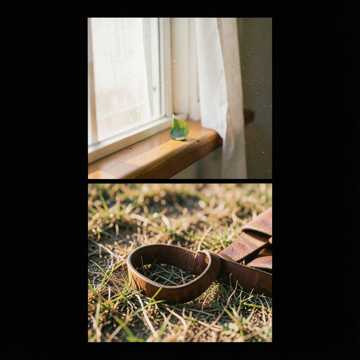 Обложка: Летним утром