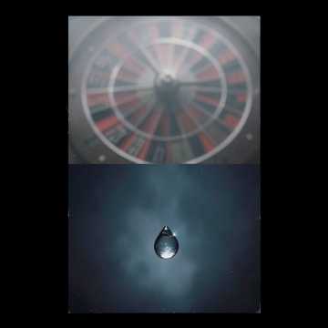 Обложка: Круговорот жизни