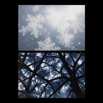 Обложка: Снежная Метелица