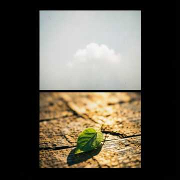 Обложка песни ИИ: Живое сердце(reggi)
