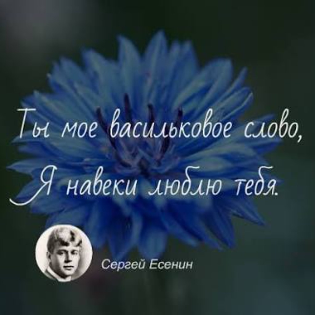 Обложка песни ИИ: Сергей Есенин. Я красивых таких не видел...